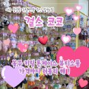 캐칭덕 | [대구소품샵/동성로] 잡화 천국 ✨ 걸스코코 잡화소품점 노글루속눈썹 리뷰 (내돈내산)