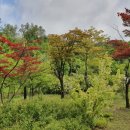 항동한양수자인에듀힐즈아파트 네이버블로그