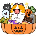 챰댄스아카데미 이미지