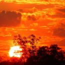 (주)지구환경 이미지