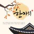 CK피트니스 이미지