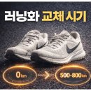 타로입문(취미과정 / 주간) | 마라톤 입문부터 기록 도전까지 나이대 달리기 스타일 러닝화 후기와 추천 조합