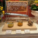 윈팰리스2 | [공지] [마카오] 윈 팰리스(wynn palace) 조식(폰타나, fontana) 내돈내산 후기