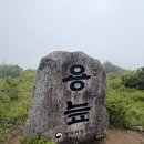 을지운수 | [인제 가볼만한곳] 천상의 정원 대암산 용늪 가아리 코스 탐방 &amp; 운해 속 열린 대암산 정상 역대급 뷰...