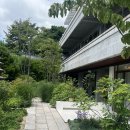[북촌] 오설록 티클래스 내돈내산 후기