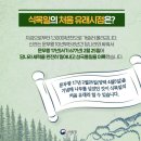 식목일 이미지