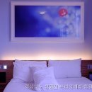 프라잇베리