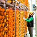 함안스포츠타운 이미지