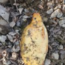 대영낚시터 이미지