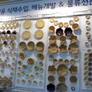 아셀식자재