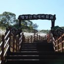 제27회 포천 산정호수 명성산 억새꽃 축제 이미지