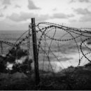 손혁농장 이미지