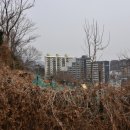 괴정2동-20 이미지