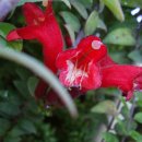 연암축산 이미지