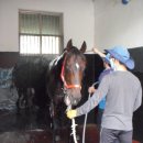 경마장가는길 이미지