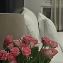 가야관광호텔 | 강릉여행 가성비 숙소 강릉시장 인근 숙소 강릉관광호텔 내돈내먹 조식후기