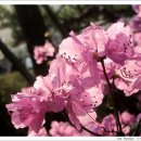 주식회사 현대케피코 - 11653 | 주식회사 현대케피코