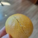 아직은 연휴를 기록 중 [D+67]
