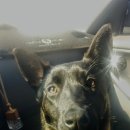 안녕하세요 이미지