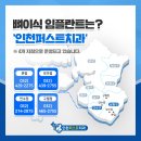 보미퍼스트치과의원 네이버블로그