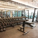 스타칼리 휘트니스 이미지