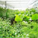 덕정농장 이미지