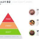 프라임미트유통