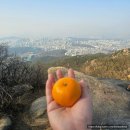 방배천로 24 (4) 이미지