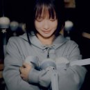 첫번째단추 1st DANCHU | 한로로 X 더콜디스트모먼트 콜라보 / 팝업, 발매 일정