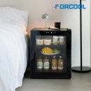 오늘 날씨 리얼 | 포쿨 음료수냉장고 쇼케이스 미니 가정용 소형 술냉장고 업소용 음료 술장고 100% 리얼 후기 정리