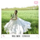 진희 | [공지] 웨딩스냅 헬퍼 숨은 고수, 진희이모님과의 찐 후기! 드레스부터 헤어변형, 촬영까지