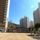 벽산할인마트 이미지