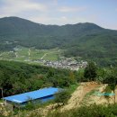 이명산농장 Daum카페