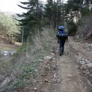 참새골펜션(최광식집)앞 | 백두대간 [19th] 곰넘이재-태백산-화방재.. 태백산은 겨울이 제 맛.