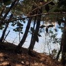 철주농장 이미지