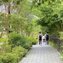 간선-68 파이낸셜뉴스