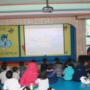 용인대 영화 태권도장 이미지