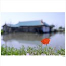 시선이 머무는 곳 이미지