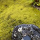 스테이 도담도담 이미지