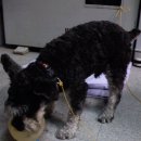 구월3동-10 이미지