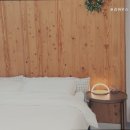 포리애견 이미지