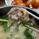 뚜레쥬르마산 - 창원시 마산합포구 현동로 50 | 창원 마산역 맛집 이조토종돼지국밥 섞어국밥 솔직후기 반려동물 동반 가능