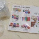 와이제이앤