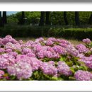 상동호수공원 이미지