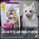 강아지사료 추천 힐스 시니어 노령견사료 스피츠 사료 두달 급여 후기