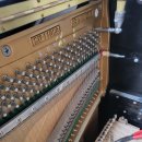 장유중학교 이미지