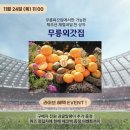 제주커머스 이미지