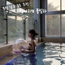 항사리91 이미지