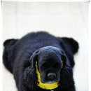 빠리안경원 이미지