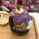 비큐(BQ) | [보홀 3탄] 보홀 쇼핑몰 아일랜드 시티 몰 vs 아투라스 몰 vs BQ몰 다 가본 후기 (바나나칩 추천)